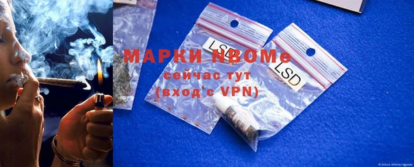 прущие грибы Верхний Тагил