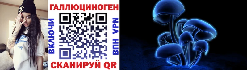 Псилоцибиновые грибы Magic Shrooms  где продают наркотики  кракен   дарк нет формула  Гвардейск 