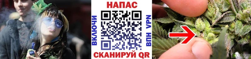 Канабис конопля  Гвардейск 